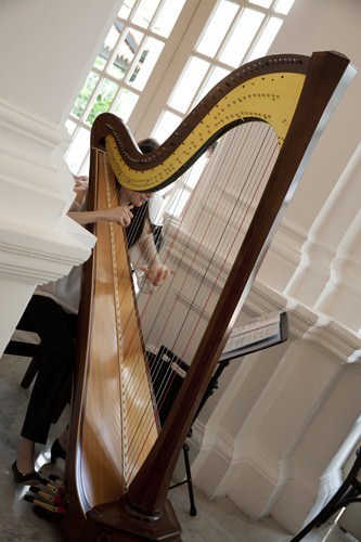 Raffles Harpist