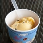 Passionfruit flavoured Bonito Ice-cream