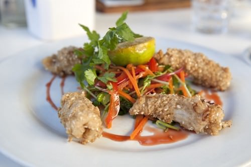 Salt and Pepper Squid Salad LR