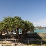 Surf Club Restaurant View