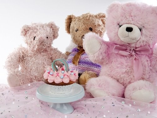 Teddies Picnic Birthday Party