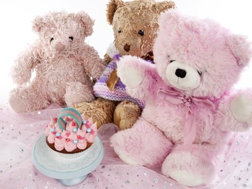 Teddies Pink Party for Girls