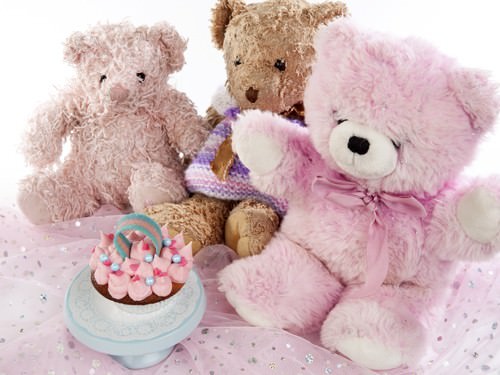 Teddies Pink Party for Girls Teddies Pink Party for Girls