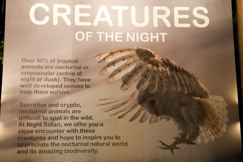 Creatures of the Night Show