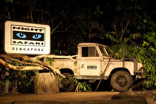 Night Safari Vehicle