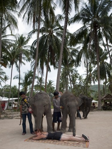 Elephant Show Massage 