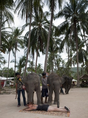 Elephant Show Massage