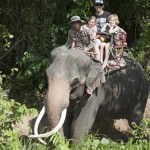 Gourmet Getaways Elephant Trekking