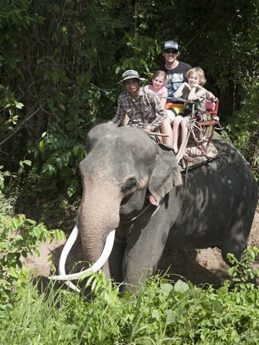 Gourmet Getaways Elephant Trekking