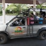 City Safari Tours Vehicle
