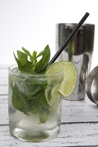 Icy Lime Mojito