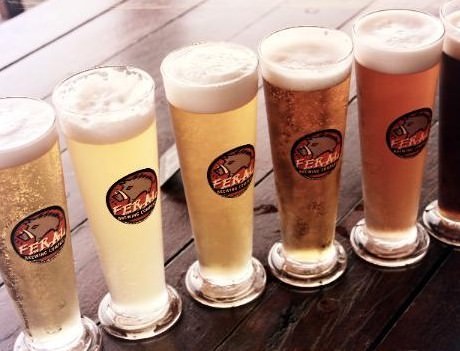 Micro Brewery Tour