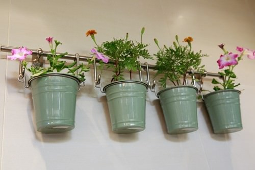 Cove Cafe Decor