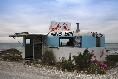 Best Kiwi Eats - Nina's Bin