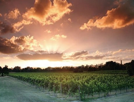Swan Valley Wine Tour