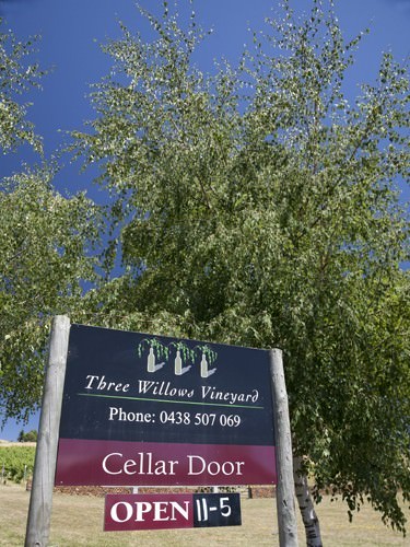 Three Willows Vineyard