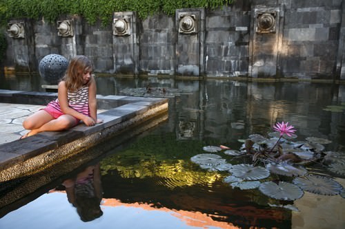 Balinese Lily Pond