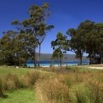 Bruny Island Berry Farm