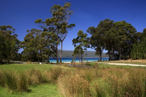 Bruny Island Berry Farm