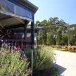 Bruny Island Berry Farm