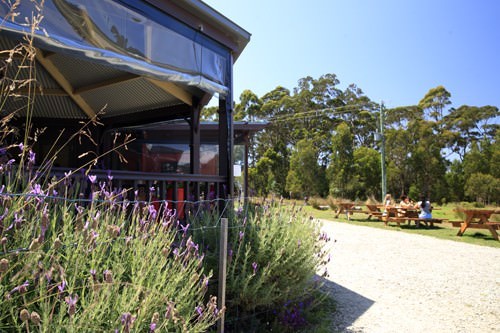 Bruny Island Berry Farm