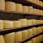 Cheese Factory Maturage