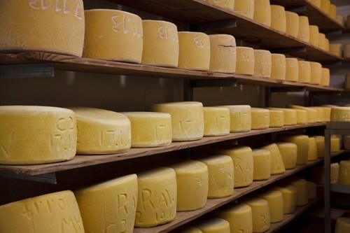 Cheese Factory Maturage