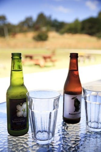 Elderflower and Pagan Cider