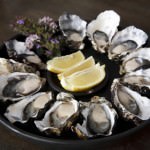 Fresh Natural Oysters