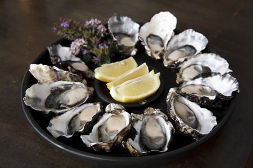 Fresh Natural Oysters