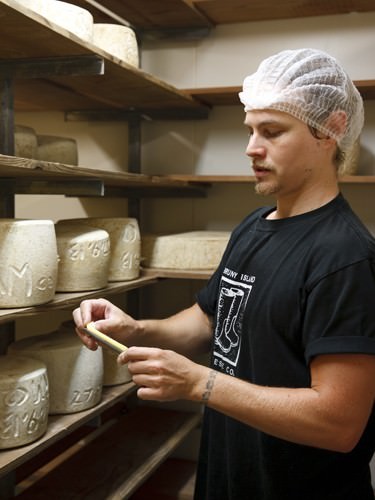 Sampling the cheese from the wheels