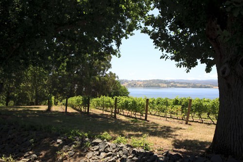 Tamar Valley Wineries