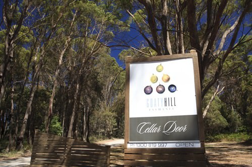 Goaty Hill Vineyard Tasmania