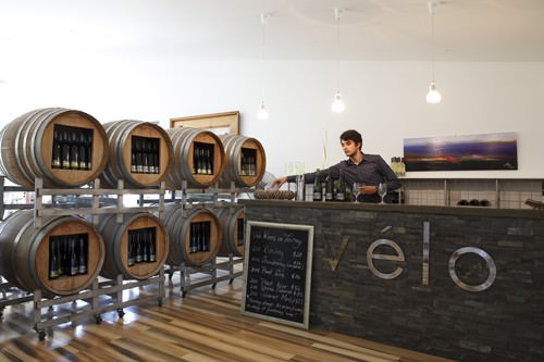 Velo Vineyard Tasting