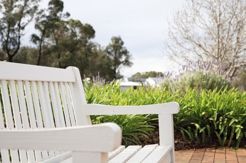 Lavender Bench Seat