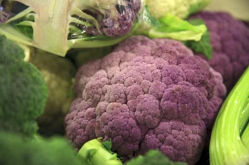 Purple Cauliflower