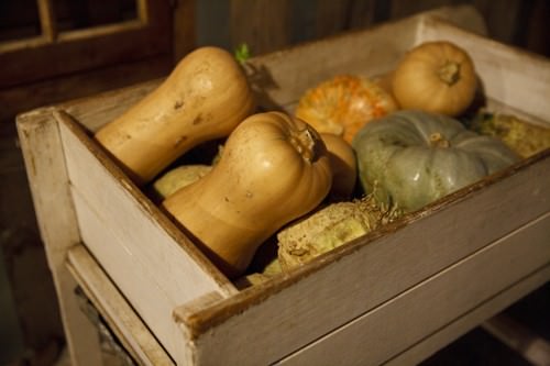 Pumpkins from the Kitchen Garden Roberts Restaurant