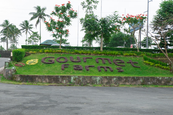 Gourmet Farms Grass Signage - featured
