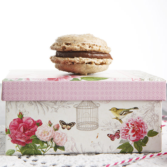 Hazelnut and Chocolate Macarons Hazelnut and Chocolate Macarons