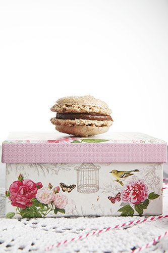 Hazelnut and Chocolate Macarons Hazelnut and Chocolate Macarons
