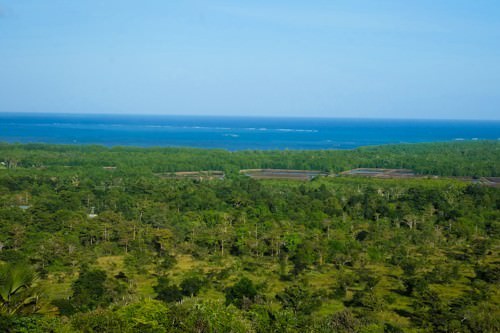 Puerto Princesa View