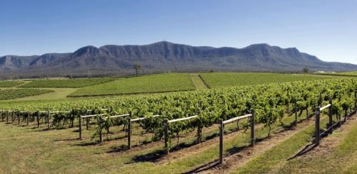 Top 5 Australian Vineyards - NSW