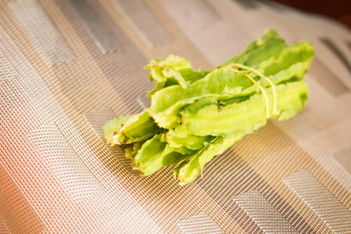 Gising-Gising - Winged Bean bundle Gising-Gising - Winged Bean bundle