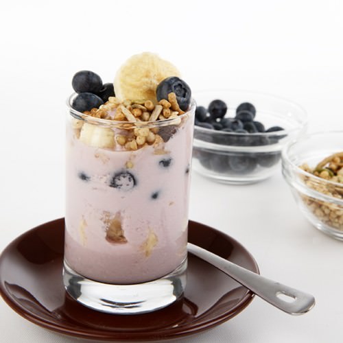 Homemade Blueberry Yogurt Foodgawker