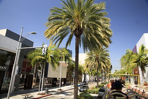 Rodeo Drive Hollywood