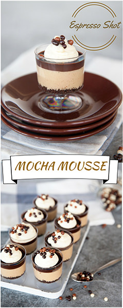 Chocolate Mocha Mousse Cake Recipe