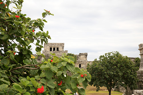 Mayan Ruins Tulum Mexico - Watchtower