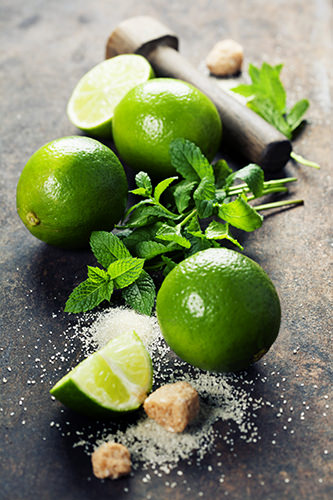 Mojito Ingredients