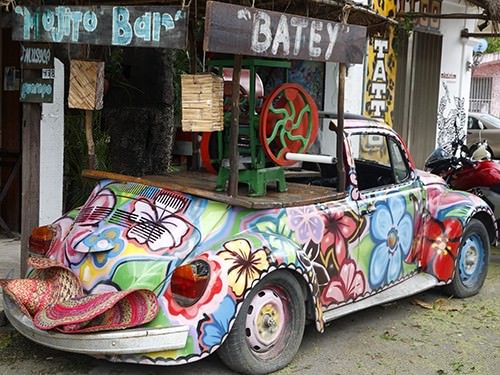 The Mexican Bug