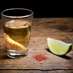 Mezcal with Worm